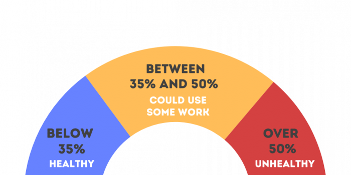 Formula Funding Healthy vs Unhealthy Debt to Income Ratio